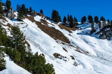 Kardaki yapılar, Bregenz ormanlarındaki karlı dağlar, dik yamaçlardaki ilk karlı dağlar. Karla kaplı orman köknar ve ladin ile kaplı. İlginç.