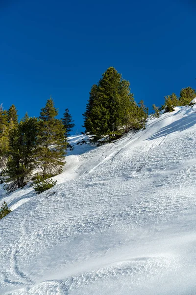 Estruturas Neve Paisagem Com Montanhas Nevadas Floresta Bregenz Montanha Íngreme — Fotografia de Stock