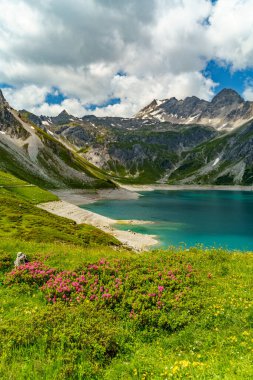 Bir dağ çayırında kırmızı alp gülleri, bir göl ve arka planda kayalık dağlar. Dik kayalık yamaçlar arasında güzel turkuaz su. Brand, Vorarlberg, Avusturya 'dan elektrik deposu