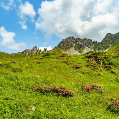 Alp gülleriyle dağlık arazide, rezervuar markası ve dağ sırasının yanında. Vorarlberg Alplerinde bir yaz gününde mavi bulutlu gökyüzü