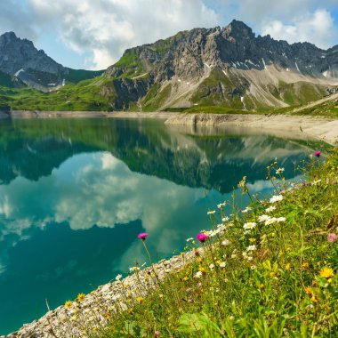 Avusturya, Vorarlberg 'deki Brand Vadisi' nde turkuaz su ve elektrik deposunun çiçekli kıyısı. Alp çayırındaki çiçekler, arka planda sudaki dağların yansıması.