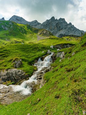 İlkbaharda bir derede, kayalar ve çiçekli çayırlarla birlikte su düşer. Nehir taşlı kayaların arasından taze, yeşil, aşırı büyümüş kıyılar arasında akar. beyaz su ve taşlar, arkadaki dağlar Brand vadisinde, Vorarlberg, Avusturya.