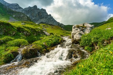 İlkbaharda bir derede, kayalar ve çiçekli çayırlarla birlikte su düşer. Nehir taşlı kayaların arasından taze, yeşil, aşırı büyümüş kıyılar arasında akar. beyaz su ve taşlar, arkadaki dağlar Brand vadisinde, Vorarlberg, Avusturya.