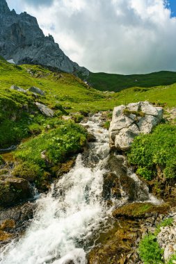 İlkbaharda bir derede, kayalar ve çiçekli çayırlarla birlikte su düşer. Nehir taşlı kayaların arasından taze, yeşil, aşırı büyümüş kıyılar arasında akar. beyaz su ve taşlar, arkadaki dağlar Brand vadisinde, Vorarlberg, Avusturya.