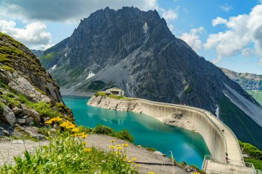 Sarı çiçekler, çiçekli çayırlarda papatyalar dik yamaçlı dağlar ve arka planda elektrik deposu markası. İsviçre sınırındaki Vorarlberg Avusturya 'da alp manzarası. Güneşli bulutlu yaz günü