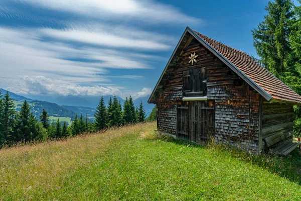 wooden barn on the hill over Rhine valley, on a flowered meadow. shingled house on the edge of forest by a logger\'s hut, storage shed with fir and spruce trees, recreation bench  in background