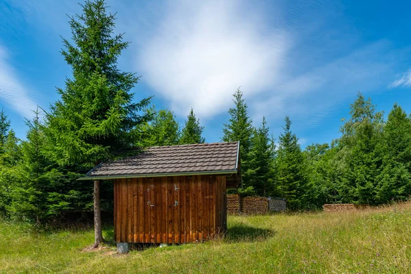 wooden barn on the hill over Rhine valley, in the middle of a flowered meadow. wood on the edge of forest by a logger's hut, storage shed with a wood stack of firewood and spruce trees in background