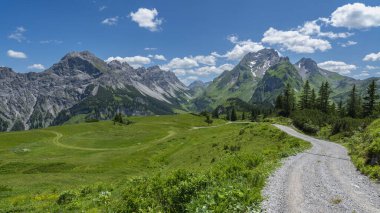 Renkli çayırlardaki alp çiçekleri ve büyük Walser vadisinde kırmızı duvar adı verilen tepe, kayalık dağlar, dik kayalık yamaçlar ve Vorarlberg 'de güneşli bir yaz gününde çayırdaki kayalıklar.