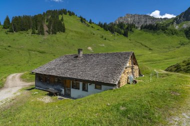 Grosswalsertal, Vorarlberg 'deki Alpe Steris' teki ahşap ev, arka planda dik dağ çayırları, orman ve dağlar, Avusturya 'da bir yaylada yamaç köyü.