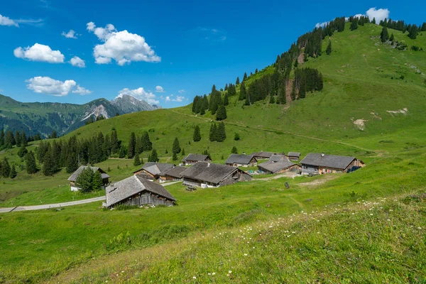 Grosswalsertal Vorarlberg Deki Alpe Steris Teki Ahşap Arka Planda Dik — Stok fotoğraf