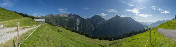 Alpejski Dom Rustykalny Zielonych Łąkach Kwitnących Pomiędzy Stromymi Górami Alpach — Zdjęcie stockowe