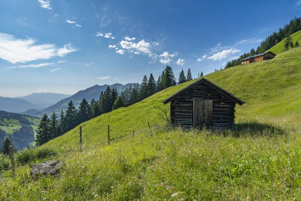 Альпійські Ферми Зелених Квітчастих Луках Між Крутими Горами Альпах Австрії — стокове фото