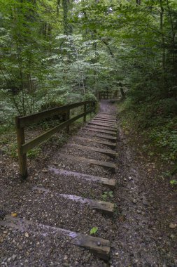 Merdivenler, ormanda adımlar, ağaçlar arasında vadiye giden patika. Masal diyarında ağaçlar ve çalılar büyümüş kayaların üzerinde duruyor. Güzel, büyülü, aydınlık yerlere eğlence yürüyüşü