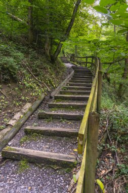 Merdivenler, ormanda adımlar, ağaçlar arasında vadiye giden patika. Masal diyarında ağaçlar ve çalılar büyümüş kayaların üzerinde duruyor. Güzel, büyülü, aydınlık yerlere eğlence yürüyüşü