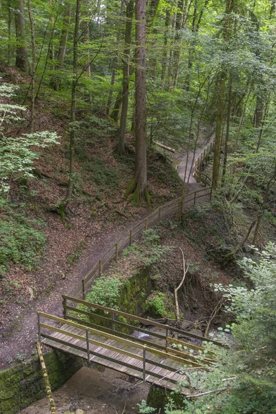 다리와 통과하는 골짜기로 내려가는 사이의 나무와 수풀은 동화의 땅에서 있습니다 — 스톡 사진