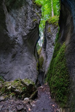 Tepede açık bir mağara ve çatlaktan içeri ışık salıyor, bitkilerle kaplı. Dornbirn yakınlarındaki Kirchle, ormanda bir tepede gizlenmiş bir peri masalı mekanıdır. İçinde kaya ve yosun var.