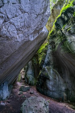 Tepede açık bir mağara ve çatlaktan içeri ışık salıyor, bitkilerle kaplı. Dornbirn yakınlarındaki Kirchle, ormanda bir tepede gizlenmiş bir peri masalı mekanıdır. İçinde kaya ve yosun var.