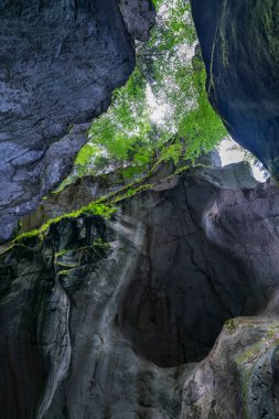 Tepede açık bir mağara ve çatlaktan içeri ışık salıyor, bitkilerle kaplı. Dornbirn yakınlarındaki Kirchle, ormanda bir tepede gizlenmiş bir peri masalı mekanıdır. İçinde kaya ve yosun var.