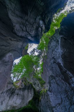 Tepede açık bir mağara ve çatlaktan içeri ışık salıyor, bitkilerle kaplı. Dornbirn yakınlarındaki Kirchle, ormanda bir tepede gizlenmiş bir peri masalı mekanıdır. İçinde kaya ve yosun var.