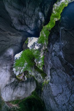 Tepede açık bir mağara ve çatlaktan içeri ışık salıyor, bitkilerle kaplı. Dornbirn yakınlarındaki Kirchle, ormanda bir tepede gizlenmiş bir peri masalı mekanıdır. İçinde kaya ve yosun var.