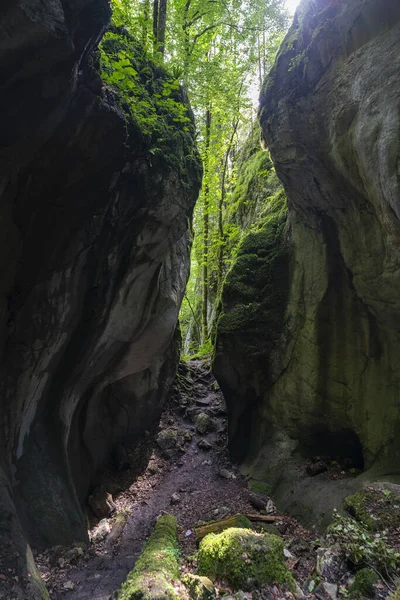 Uma Caverna Que Está Aberta Topo Permite Entrada Luz Através — Fotografia de Stock