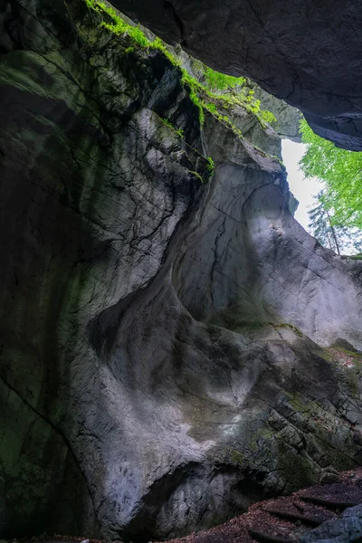 上部に開いている洞窟は 植物で覆われた亀裂を通して光を当てます ドーンバルンの近くのキルクルは 丘の上の森に隠れているおとぎ話の場所です ボールダーとモスはその中に横たわる — ストック写真