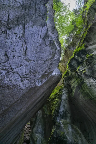 Пещера Которая Открыта Наверху Пропускает Свет Через Трещину Заросшую Растениями — стоковое фото