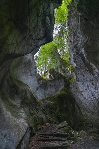Uma Caverna Que Está Aberta Topo Permite Entrada Luz Através — Fotografia de Stock