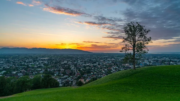 Ren Vadisi 'ndeki İsviçre dağları üzerinde günbatımı Dornbirn, Vorarlberg, Avusturya' ya bakan tek bir ağaç. Parlayan günbatımı, yeşil çayırların üzerinde kırmızı bulutlarla harika bir atmosfer.