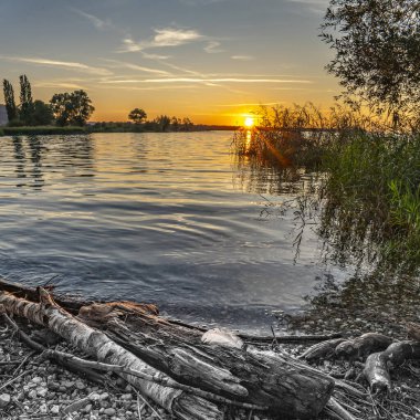 Avusturya, Vorarlberg 'deki Rhine Vadisi' nde Constance Gölü kıyısında bir tüyle gün batımı. Güneş suya yansıyor, sazlıklar ve ağaçlar tarafından çerçeveleniyor. Akşam kırmızısı, kırmızı, turuncu bulutlar. Keder
