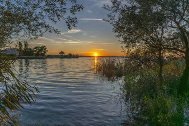Avusturya, Vorarlberg 'deki Rhine Vadisi' nde Constance Gölü kıyısında gün batımı. Güneş suya yansıyor, sazlıklar ve ağaçlar tarafından çerçeveleniyor. Akşam kırmızısı, kırmızı, turuncu bulutlar.