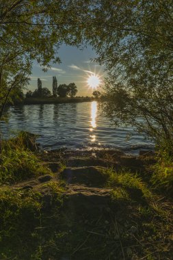 Avusturya, Vorarlberg 'deki Rhine Vadisi' nde Constance Gölü kıyısında gün batımı. Güneş suya yansıyor, sazlıklar ve ağaçlar tarafından çerçeveleniyor. Akşam kırmızısı, kırmızı, turuncu bulutlar.