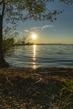 Avusturya, Vorarlberg 'deki Rhine Vadisi' nde Constance Gölü kıyısında gün batımı. Güneş suya yansıyor, sazlıklar ve ağaçlar tarafından çerçeveleniyor. Akşam kırmızısı, kırmızı, turuncu bulutlar.