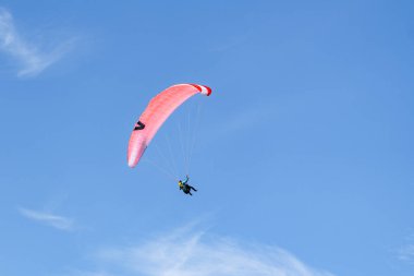 Mavi bulutlu gökyüzünde paraşüt broşürleri, yeşil çayır, köknar ağacı, mavi su ve dağ sırasıyla Constance Gölü üzerinde paraşüt manzarası. Bregenz Ormanı, Vorarlberg 'de yaz günü,