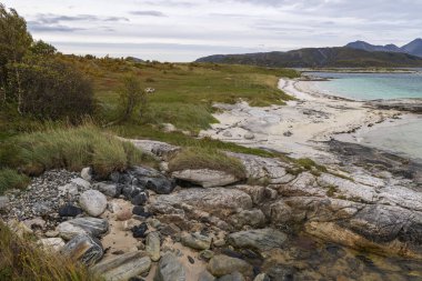 Norveç, Sommary yakınlarındaki Atlantik 'te Jetty ile panoramik manzara. Kumsal, barbekü alanı ve dinlenme alanı, turkuaz deniz kenarında, çiçekler ve çalılarla çevrili. Karayipler 'deki gibi! Kuzey yabanda dinleniyor.