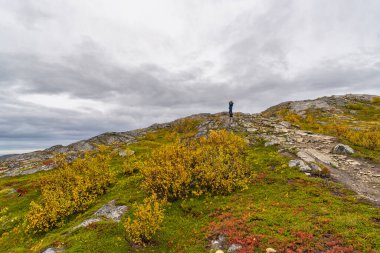 Norveç 'in sonbahar doğasında doğa yürüyüşü yapan bir kadın. Trom 'daki Kvalya adasında fiyort ve dağların yanında, yeşil, turuncu ve kırmızı renkli bitkilerin arasında yürüyüş yapmak. Yoldaki yürüyüşçü, Sommarya çevresindeki yürüyüşçüler cenneti.