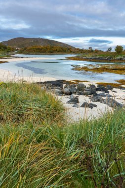 Sommarya, Troms, Norveç 'te taşlarla, yosunlarla ve beyaz kumlarla çevrili mavi turkuaz laguna. Arka planda tatil evi ve dağ var. Macera için özel bir yer  