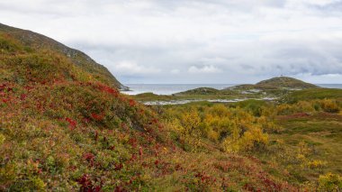 Okyanus kıyısındaki renkli ev, Kuzey Atlantik kıyısındaki kırmızı ve sarı evler. Sommaroy köyü Hillesoy adalarında ahşap yazlık evi olan taştan bir manzara. Troms, Kuzey Norveç 'te Tatil.