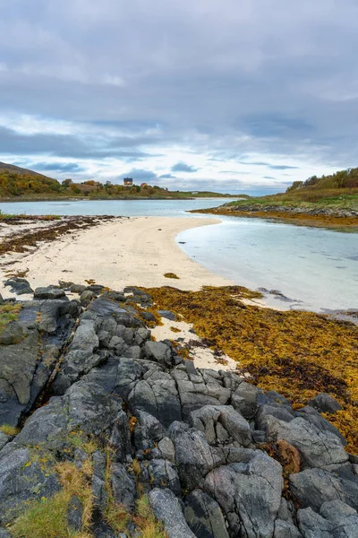 Sommarya Troms 노르웨이 소금물 해초와 모래로 둘러싸인 청록색 라구나 배경에 로열티 프리 스톡 이미지