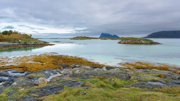 Sommarya Troms 노르웨이 소금물 해초와 모래로 둘러싸인 청록색 라구나 배경에 스톡 이미지
