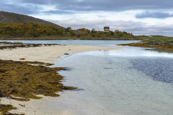 Sommarya Troms 노르웨이 소금물 해초와 모래로 둘러싸인 청록색 라구나 배경에 스톡 사진