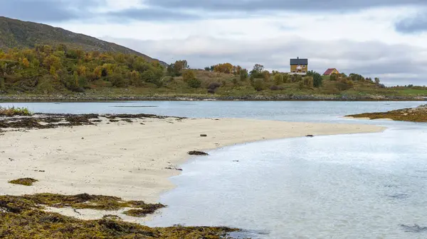Sommarya Troms 노르웨이 소금물 해초와 모래로 둘러싸인 청록색 라구나 배경에 로열티 프리 스톡 사진
