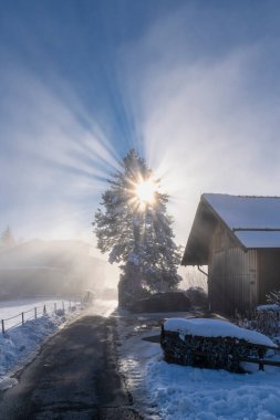 Güneş ışınları sislerin arasından ve çam dallarından düşer ve gökyüzündeki boya çizgilerine, tahta çiftlik evine, Avusturya dağlarındaki karlı manzaraya, ağaçların ve tarlaların ötesine, güneş yıldızına,