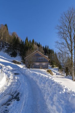 Kışın dik yamaçta, güneşli bir günde etrafta kar olan ahşap bir çiftlik evi. Avusturya dağlarında karlı bir manzara, ağaçların arasından, tarlaların ve ormanların üzerinden panoramik bir manzara. Gökyüzündeki güneş yıldızı