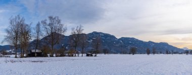 panoramic sunset in the Rhine Valley, beginning of winter with a snowy wooden hut, meadows and fields, trees and Swiss mountains in the background. Fhn with clouds and yellow orange sky  clipart