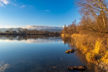Eski Ren 'de Günbatımı ile panorama. Gölün kıyısında sazlıklar ve çalılar, güneş ve gün batımı kırmızısı. Sonbahar ve kış arasında etkileyici renkler.
