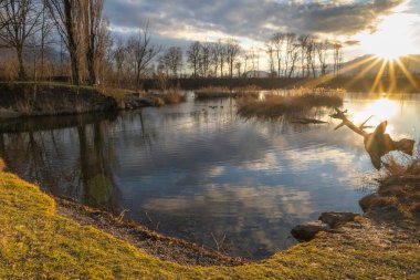 Eski Ren 'de Günbatımı ile panorama. Gölün kıyısında sazlıklar ve çalılar, güneş ve gün batımı kırmızısı. Sonbahar ve kış arasında etkileyici renkler.