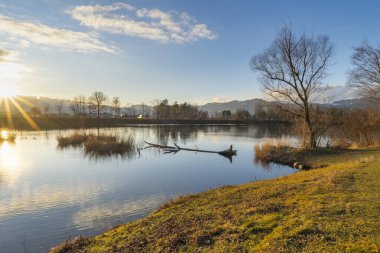 Eski Ren 'de Günbatımı ile panorama. Gölün kıyısında sazlıklar ve çalılar, güneş ve gün batımı kırmızısı. Sonbahar ve kış arasında etkileyici renkler.