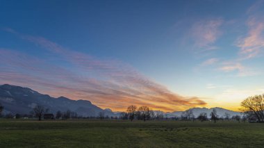 Çayırda tek bir ağaçla parlayan panorama, günbatımı renkli gökyüzünün altında baskın ıhlamur ağacı, turuncu, kırmızı bulutlar ve mavi gökyüzü, fare yuvası ile otlak, fare deliği girişi