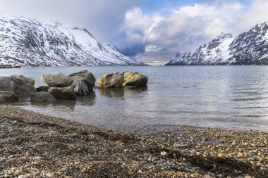 Okyanus kıyısındaki kayalar, dalgalı taşlı kum çakıl plajı, yüksek karlı dağlı fiyort manzarası, günbatımında panorama renkli bulutlu gökyüzü ve deniz kenarında sarı çimenler.